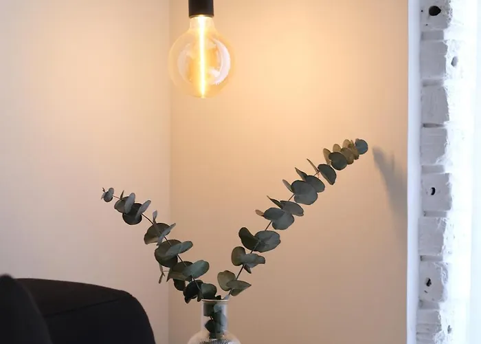 Vt Elegante Y Acogedora Con Wifi En Apartman Bilbao