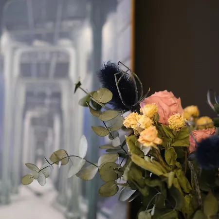 Vt Elegante Y Acogedora Con Wifi En Apartman