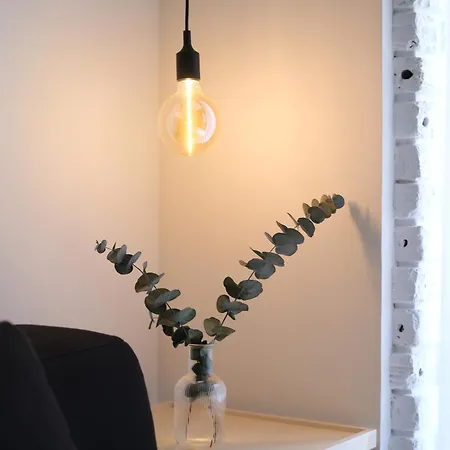 Vt Elegante Y Acogedora Con Wifi En Apartman Bilbao