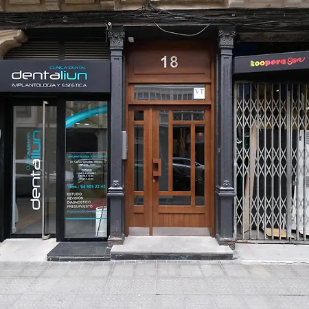 Vt Elegante Y Acogedora Con Wifi En Apartman Bilbao